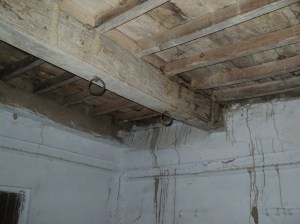UP5-Flat Roof of Neem wood beam, joists and batons
